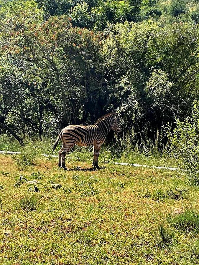 Apartmán 66 Sharalumbi Wildlife Estate Lydenburg Exteriér fotografie