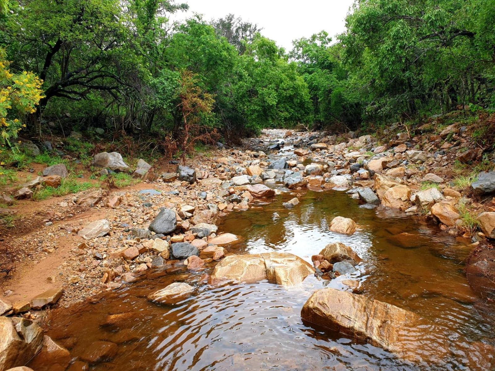 Apartmán 66 Sharalumbi Wildlife Estate Lydenburg Pokoj fotografie